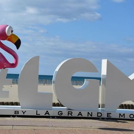 Superbe Studio Au Calme A 8Mn De La Plage La Grande Motte Extérieur photo